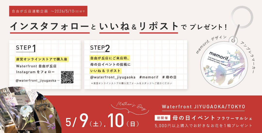 母の日キャンペーン🌼