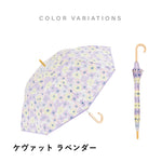 傘 日傘 雨傘 かさ カサ Waterfront ウォーターフロント シューズセレクション 長傘 レディース ビニール傘